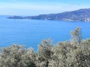 Villa vista mare a Zoagli