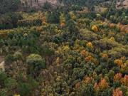 Villa Yacanto Cordoba Calamuchita Lote 105