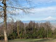 VILLARRICA HERMOSA PARCELA 5000 M2, SECTOR COLGA