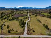 Villarrica Hermosa Parcela en Venta