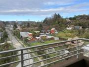 Villarrica, Las Industrias 230