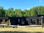 Villarrica, loncotraro