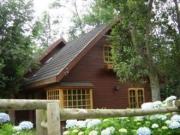 Villarrica, Molco/