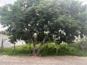 VILLAS DEL MESON JURIQUILLA TERRENO HABITACIONAL 1000 M2... VILLAS DEL MESON JURIQUILLA TERRENO HABITACIONAL 1000 M2...