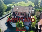 Villaschiera PLURILOCALE in affitto a Castiglione...