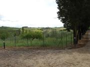 Ville di Prestigio in vendita a Siena