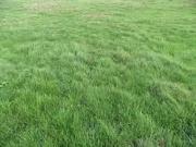 Villeblevin 89340 Programme neuf terrain neuf à vendre