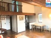 Villefranche de Rouergue Vente Duplex/triplex 12