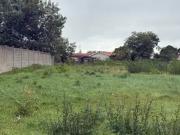 Villegouge 33141 Programme neuf terrain neuf à vendre