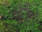 Villeneuve en Retz 44580 Programme neuf terrain neuf à...