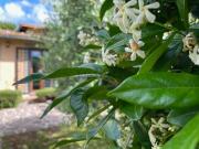 Villetta a schiera in affitto di 55 m² in Via della...