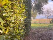 Villetta a schiera in affitto di 80 m² in Via Callestro