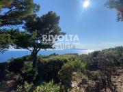 Villetta a schiera in affitto di 80 m² in Via dei Pionieri Villetta a schiera in affitto di 80 m² in Via dei Pionieri