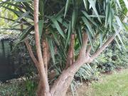 Villetta a schiera in vendita a Bari BA