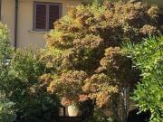 Villetta a schiera in vendita a Brescia BS