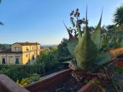 Villetta a schiera in vendita a Carrara MS
