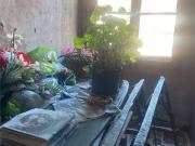 Villetta a schiera in vendita a Castelnuovo di Garfagnana LU