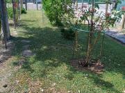 Villetta a schiera in vendita a Copparo FE