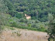 Villetta a schiera in vendita a Pelago FI