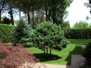 Villetta a schiera in vendita a Roma RM