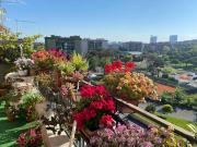 Villetta a schiera in vendita a Roma RM