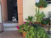 Villetta a schiera in vendita a Roma RM