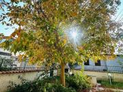 Villetta a schiera in vendita a Terracina LT