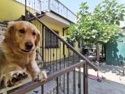 Villetta a schiera in vendita a Torino TO