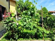 Villetta a schiera in vendita a Torrevecchia Pia PV