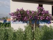 Villetta a schiera in vendita a Torri di Quartesolo VI