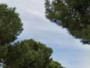 Villetta a schiera in vendita a Trani BT