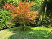 Villetta a schiera in vendita a Venezia VE Villetta a schiera in vendita a Venezia VE