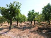Villetta a schiera in vendita di 12500 m² in Via...