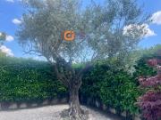 Villetta a schiera in vendita di 140 m² in Via Gustavo...