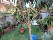 Villetta a schiera in vendita di 150 m² in Via Venezia, 42