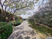 Villetta a schiera in vendita di 170 m² in Via di Castello