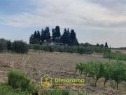 Villetta a schiera in vendita di 235 m² in Via del...