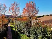 Villetta a schiera in vendita di 239 m² in Via Cascina...