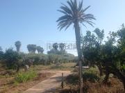 Villetta a schiera in vendita di 250 m²
