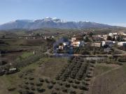 Villetta a schiera in vendita di 321 m² in Largo del...