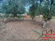 Villetta a schiera in vendita di 600 m²