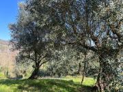 Villetta indipendente in vendita di 72 m²