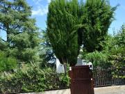 Villetta a schiera in vendita di 80 m² in Contrada Frà...