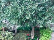 Villetta a schiera in vendita di 80 m² in Via Grondini