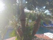 Villetta a schiera in vendita di 92 m² in Via Campo Volo