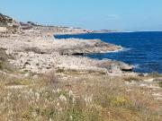 Villetta bifamiliare in affitto di 120 m² in Via...