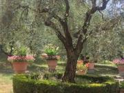 Villetta bifamiliare in affitto di 280 m² in Via...