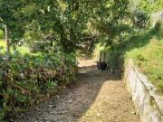 Villetta bifamiliare in vendita a Camaiore 200 mq Rif:...