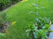 Villetta bifamiliare in vendita a Latignano Cascina 175...