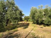Villetta bifamiliare in vendita a Montegiorgio, Campagna